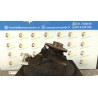 MONTANTE SOSP. ANT. SX. 007 DACIA DUSTER (03/10-) K4MH6 400150774R