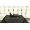 BOBINA 221 NISSAN MICRA (K11E) (09/00-01/03)  NB0287015022001