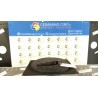 BOBINA 172 PEUGEOT 207 (06/09-) 5FS 9806702780