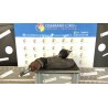 SEMIALBERO ANT. COMPL. SX. 059 ALFA ROMEO MITO (QZ) (03/11-05/13) 199B4000 51947028