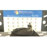 BLOCCHETTO ACC.NE C/SERIE CILINDRETTI, C/ALARME 098 IVECO DAILY (02/00-04/06) F1AE0481B 2991729