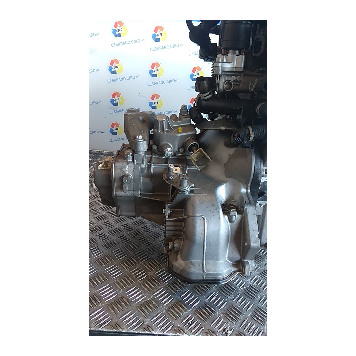 CAMBIO COMPL. C/RAP. 3.94 003 OPEL ASTRA (T98) (03/98-09/04) X14XE 55561999