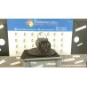 COMPRESSORE A/C 014 CITROEN C4 PICASSO (09/06-08/13) RHJ 648728