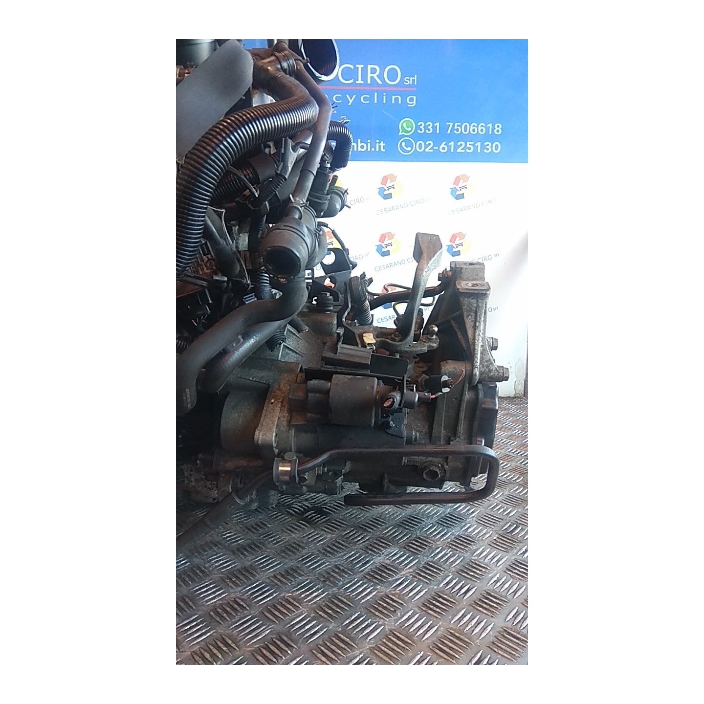 CAMBIO COMPL. ROTAZ. 026 AUDI A3 (8L) (08/96-12/01) APG 02J300047TX