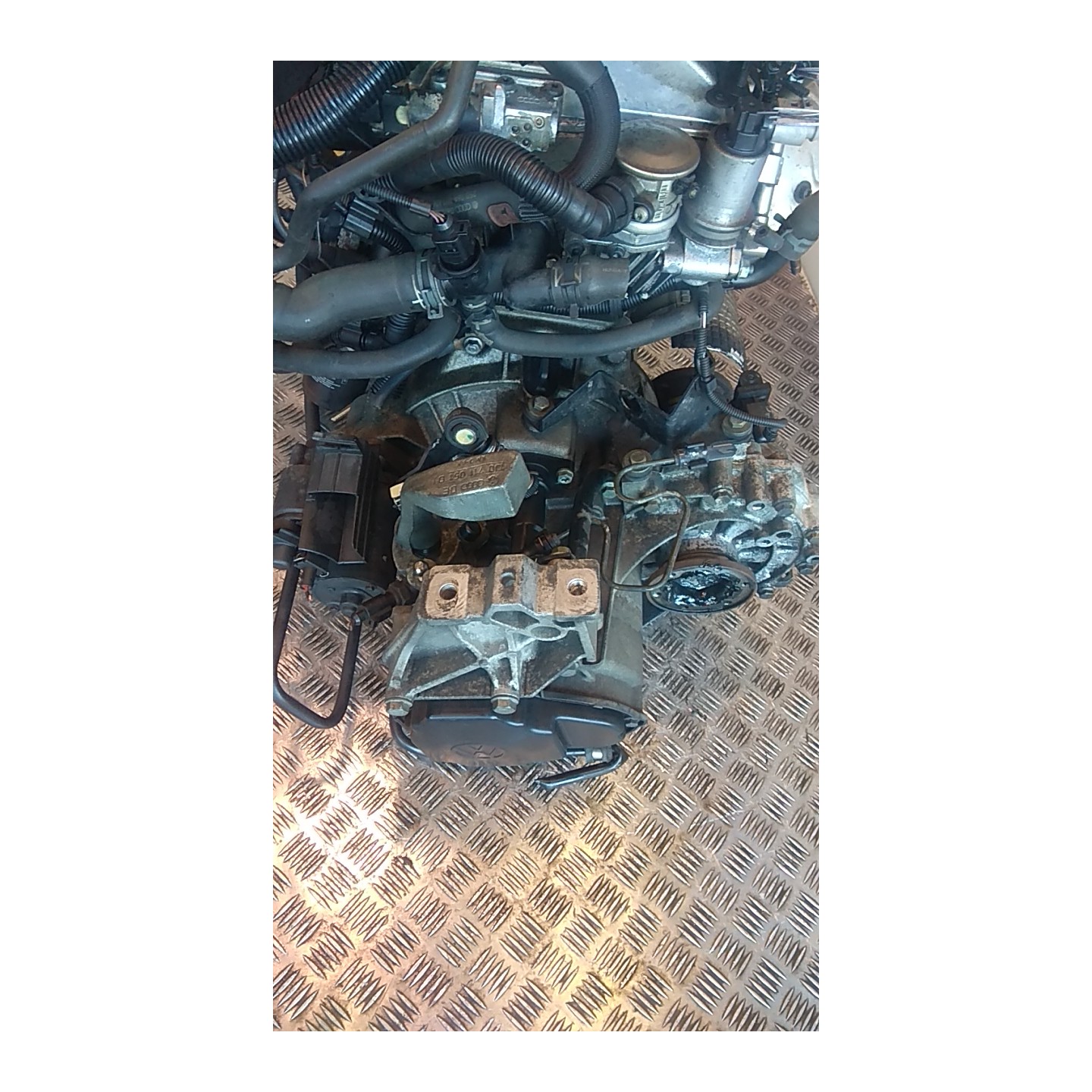 CAMBIO COMPL. ROTAZ. 026 AUDI A3 (8L) (08/96-12/01) APG 02J300047TX