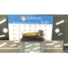 POMPA CARBURANTE 176 CHEVROLET (DAEWOO) NUBIRA (J100/150) (06/97-06/03 A16DMS 96385759