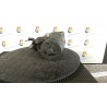 MOTORINO AVVIAMENTO -T.0542445 008 FIAT CINQUECENTO (NM) (06/92-01/99 1170A1046 46432301