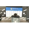 ALTERNATORE 144 CHEVROLET (DAEWOO) KALOS (T200) (01/05-10/08) B12S1 96652100
