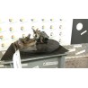 MOTORINO TERGIPARABREZZA 025 TOYOTA COROLLA VERSO (03/04-12/09) 2ADFTV 851100F020