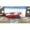 FANALE POST. DX. 032 FORD FOCUS (CAP) (11/04-06/08) G8DB 1420450