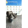 CAMBIO COMPL. 084 NISSAN MICRA (K13K) (09/10-) HR12 3201000Q9H