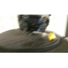 DISPOSITIVO AIRBAG LATO GUIDA 079 VOLKSWAGEN GOLF PLUS (5M) (01/05-04/09) BLF 1K0880201BS1QB