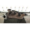 COLLETTORE SCARICO 006 MERCEDES-BENZ CLASSE B (T245) (03/05-03/13) 640940 A6401420501