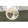 POMPA CARBURANTE C/TRASDUTTORE (GALLEGGIANTE) 082 FIAT PUNTO (51) (01/12-01/13) 350A1000 51868774
