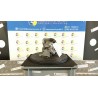 COMPRESSORE A/C 031 RENAULT TWINGO 3A SERIE (08/14-) H4DA4 926002090R