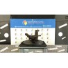 MONTANTE SOSP. ANT. SX. 040 RENAULT SCENIC 3A SERIE (04/09-10/13) F9QN8 400154705R