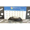 LUCE CORTESIA ANT. TETTO 100 RENAULT SCENIC 3A SERIE (04/09-10/13) F9QN8 264300007R