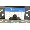 ALTERNATORE 100A 026 OPEL AGILA (H00) (08/03-01/08) Z12XEP 13256929