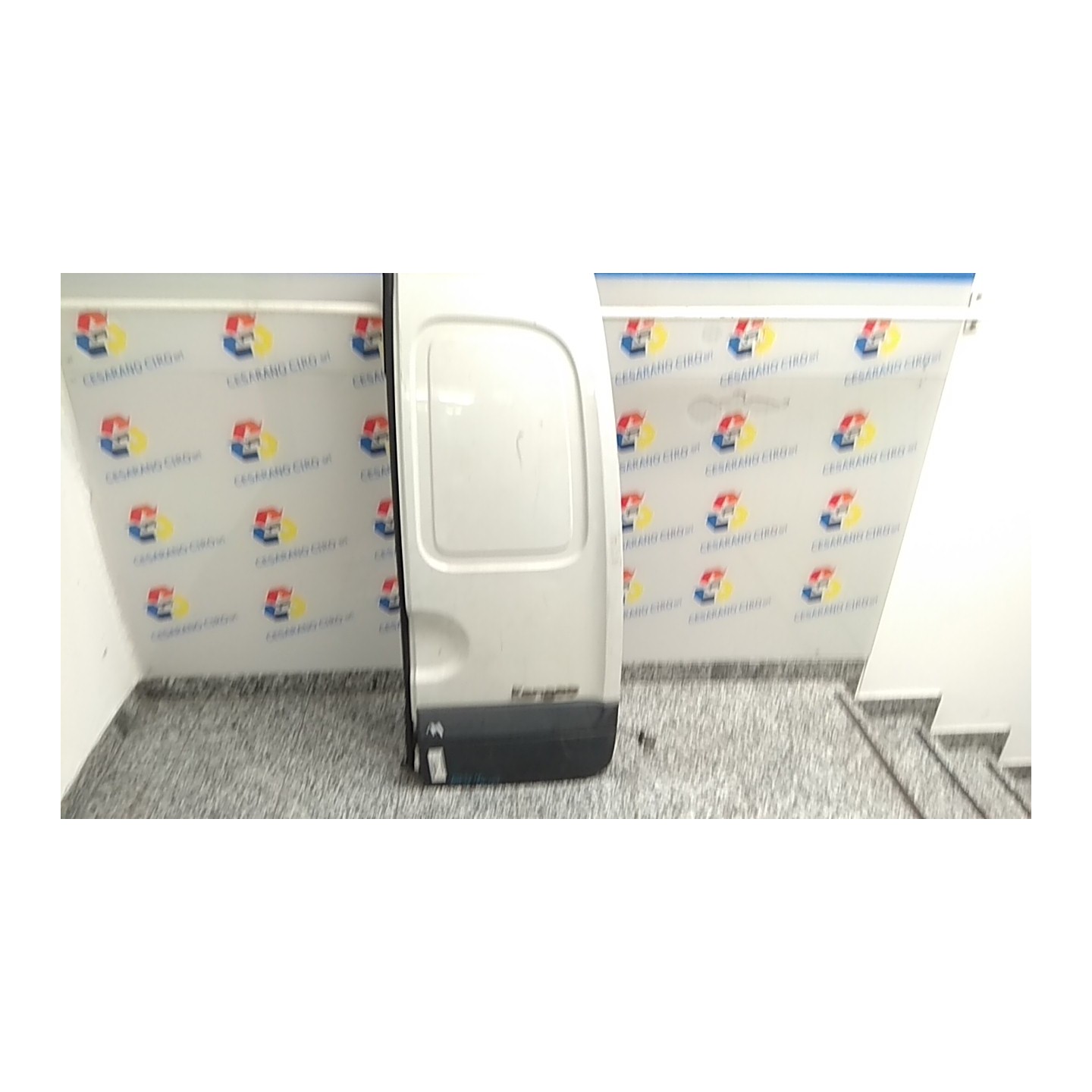 PORTA CARICO POST. A BATTENTE DX. 007 RENAULT KANGOO (04/03-03/09) K9KW7 7751468944