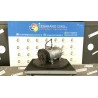 COMPRESSORE A/C -12/00 067 RENAULT MEGANE 1A SERIE (03/99-06/03) K4JC7 7711135105