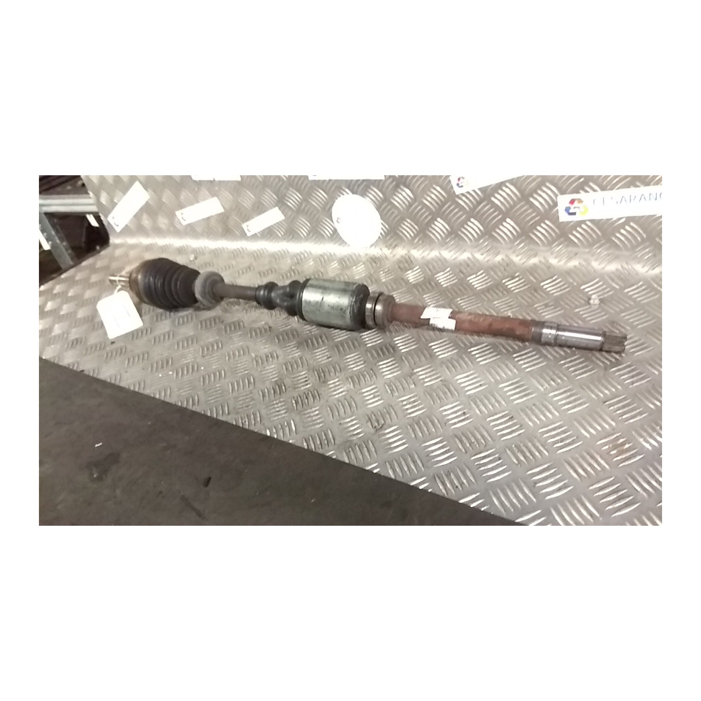 SEMIALBERO ANT. COMPL. ROTAZ. DX. 081 CITROEN XSARA (10/97-10/00) NFZ 32736E