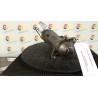 MOTORINO AVVIAMENTO ROTAZ. 021 OPEL CORSA (S93) (01/93-09/00) X12XE 90543872
