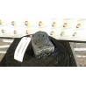 AGGREGATO ABS 085 FIAT PANDA (4Q) (05/16-03/22) 169A4000 6000630279