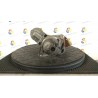 MOTORINO AVVIAMENTO 001 OPEL CORSA (S07) (01/11-) A12XER 55578921