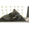 MOTORINO AVVIAMENTO ROTAZIONE 005 VOLKSWAGEN GOLF (1H) (11/91-12/98) AEX 036911023PX