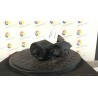 MOTORINO AVVIAMENTO ROTAZ. 008 VOLKSWAGEN GOLF (1J) (09/97-03/06) AHW 020911023FX