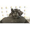 ALTERNATORE 044 SUBARU LEGACY 1 SERIE EJ25 NB0057000155001594026785
