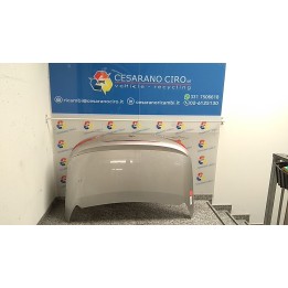 COFANO POST. 070 PEUGEOT 307 (04/01-12/06) RFN 860679