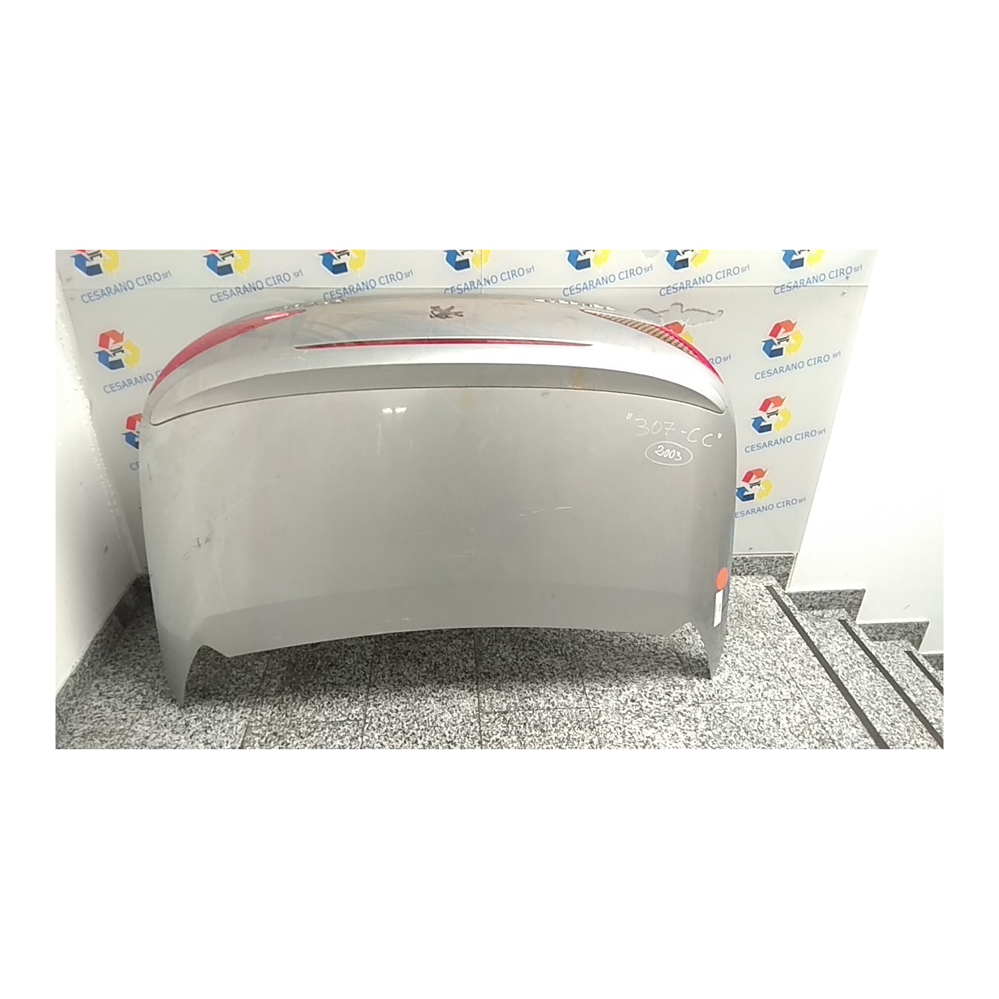 COFANO POST. 070 PEUGEOT 307 (04/01-12/06) RFN 860679