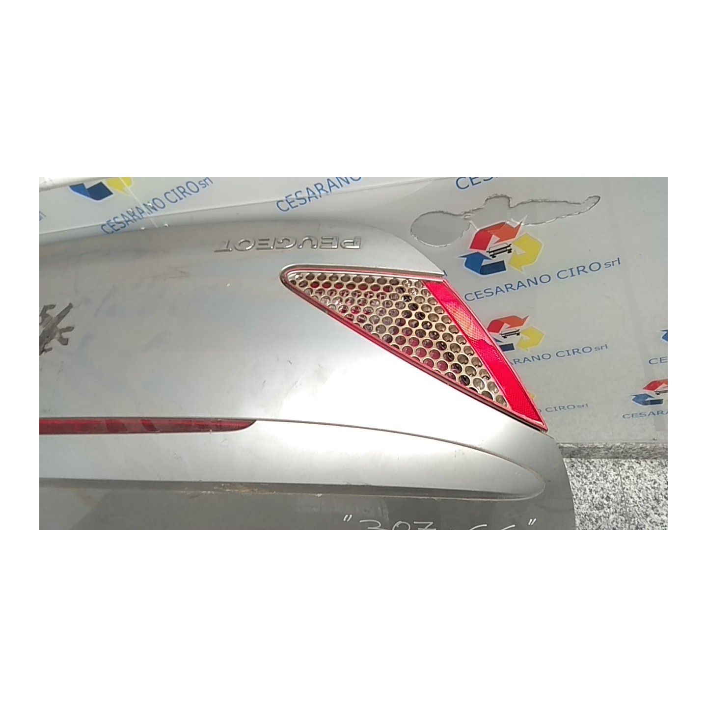 COFANO POST. 070 PEUGEOT 307 (04/01-12/06) RFN 860679