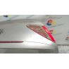 COFANO POST. 070 PEUGEOT 307 (04/01-12/06) RFN 860679