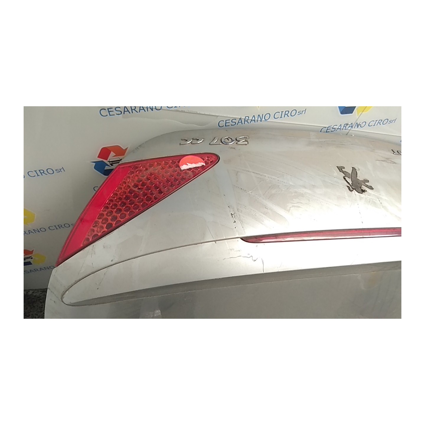 COFANO POST. 070 PEUGEOT 307 (04/01-12/06) RFN 860679