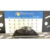 MOTORINO AVVIAMENTO MITSUBISHI 005 RENAULT CLIO 2A SERIE (05/01-11/10) K9KA7 8200584685