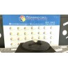 BOBINA 036 NISSAN MICRA (K12E) (11/02-05/06) CR12 22448AX001