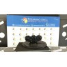 BLOCCO COMANDO CLIMATIZZAZIONE 083 KIA PICANTO 1A SERIE (02/04-10/08 G4HG 9725007000