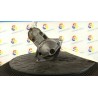 MOTORINO AVVIAMENTO 147 OPEL ZAFIRA (T98) (03/99-12/05) Z18XE 93184536