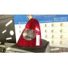 FANALE POST. DX. 153 RENAULT CLIO 2A SERIE (05/01-11/10) D7FG7 8200917487