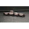 COLLETTORE SCARICO 127 FORD FIESTA (CBK) (12/05-12/08) F6JB 1489330