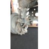 ASSALE POST. P/FRENI A DISCO POST. 034 TOYOTA IQ (01/09-12/14) 1KRFE 4210174020