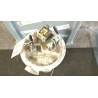 POMPA CARBURANTE C/TRASDUTTORE (GALLEGGIANTE) 027 FIAT PANDA (33) (12/11-04/17) 169A4000 52041066