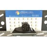 COMPRESSORE A/C 020 DR DR5 (12/07-) SQR481F 735040006
