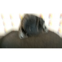 ALTERNATORE DENSO 70AMP T.23000001- 082 OPEL CORSA (X01) (10/00-06/06) X10XE 13256929