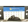 MOTORINO AVVIAMENTO C/STOP&START 159 FIAT PUNTO EVO (3J) (08/09-07/13) 169A4000 52100116