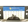 MOTORINO AVVIAMENTO 166 FORD KA (CCU) (10/08-) 169A5000 1726349