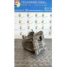 CAMBIO COMPL. 001 KIA PICANTO 1A SERIE (02/04-10/08 G4HG 4300002501