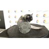 MOTORINO AVVIAMENTO 088 KIA PICANTO 1A SERIE (02/04-10/08 G4HG 3610002555